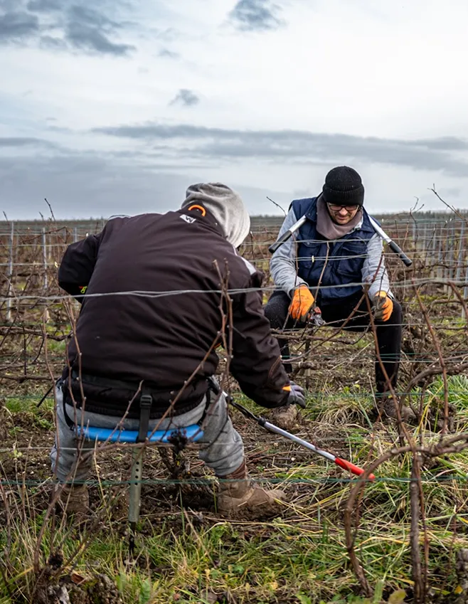 Engagements durables
